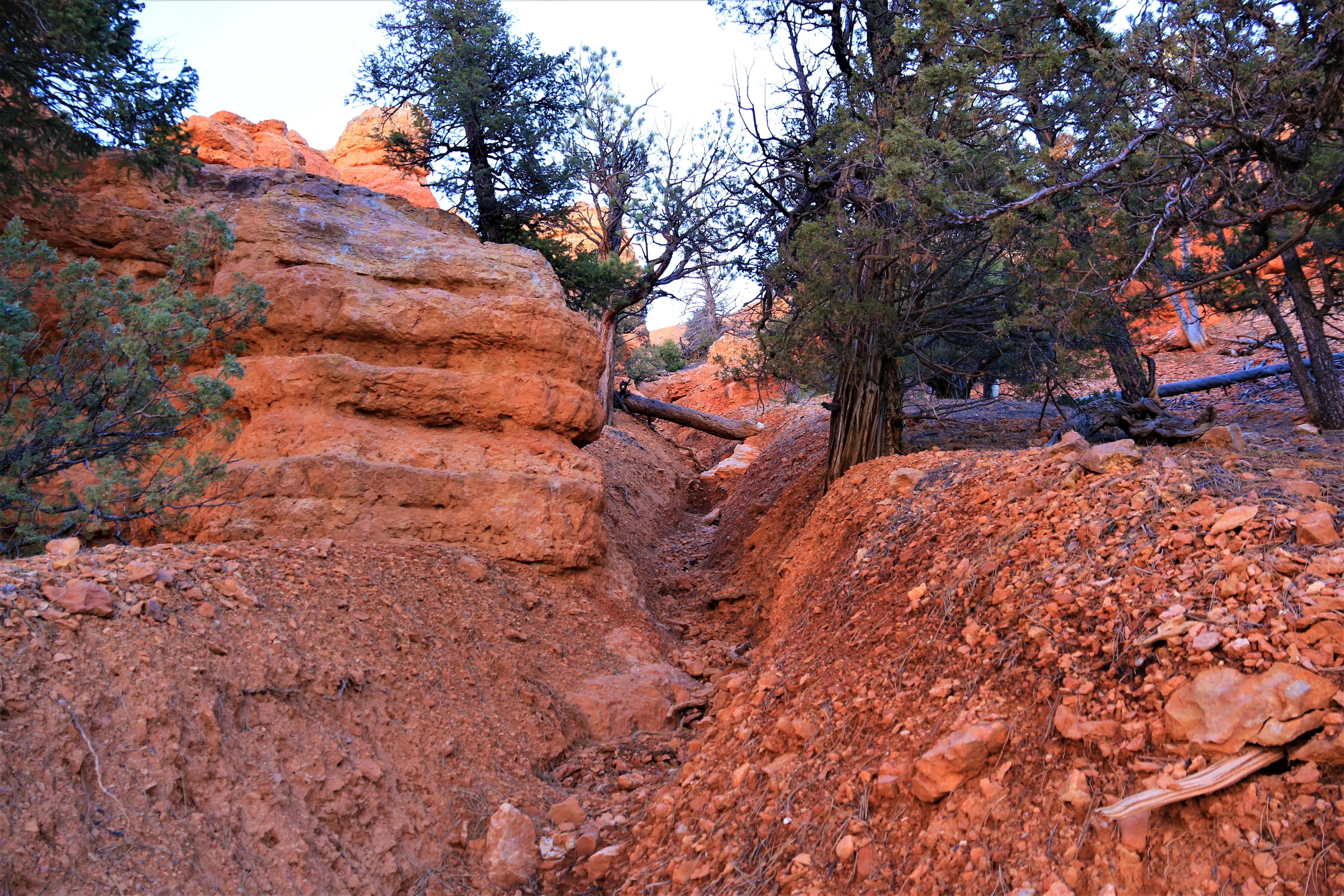 Red Canyon